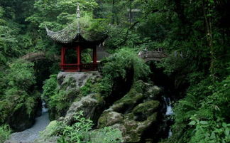 峨眉山：金顶之上是什么？