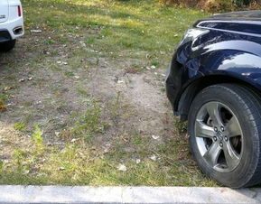 门票价格：150块一张纸，到底买到了什么？