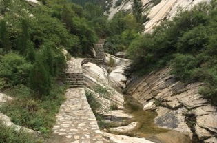 游玩路线：选择你的痛苦