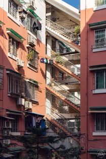 九、  荔枝湾：往事与美食的交织之地