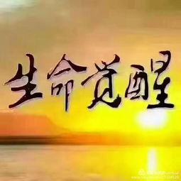 第一章：踏上心灵觉醒的征途——这不仅仅是一次旅游
