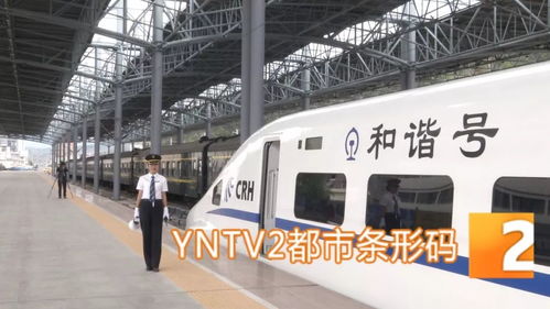 震惊！杭州去大理的车票便宜得让人想撞墙！