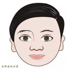 脸型：刚毅或柔弱？