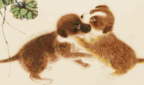 生肖狗女婚姻状况如何？她们与生俱来的气质是什么？