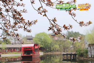 春日花神盛宴，花朝节趣味风俗爆款来袭！