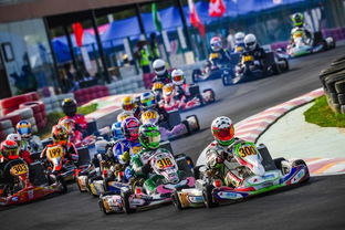 亲子比赛——谁才是真正的大佬？