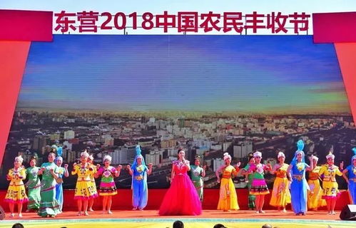 风水布局，这可是个细致活儿