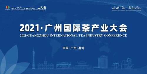 1. 让专业技能像灯塔一样指引方向
