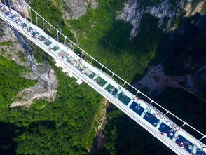 网红的套路：始于颜值终于套路