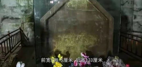 鬼影现：隐藏在黑暗中的真相