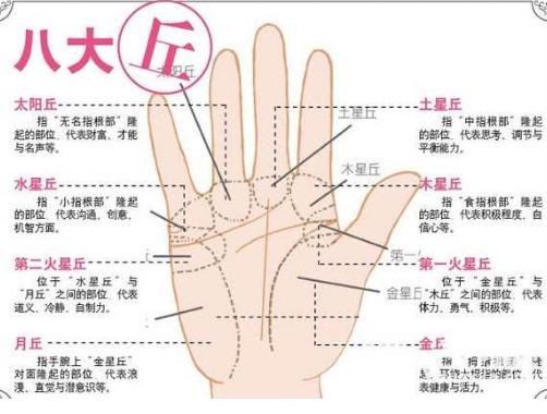 为什么有人天生就忒别在意面子和地位？