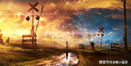 星座爱情大乱斗