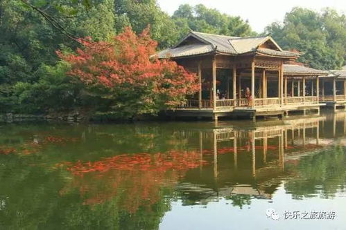 西湖，你真的了解它吗？
