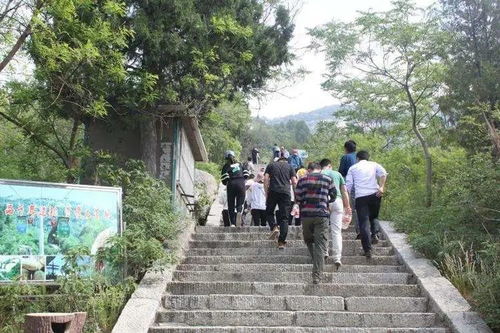 四、 文化底蕴渊源——古老传说与现代化解读