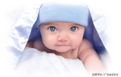 属鼠男宝宝取名，有没有大气沉稳的名字推荐呢？