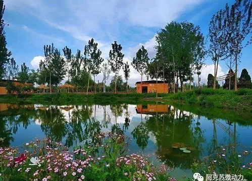 我的独家秘方：怎么玩才不会气死