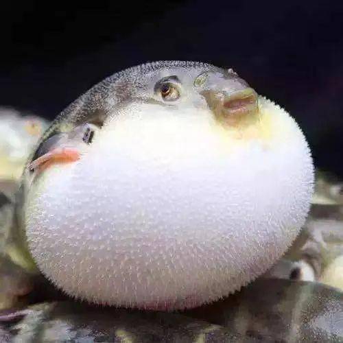 终于找到啦：那家“隐藏”的海鲜馆