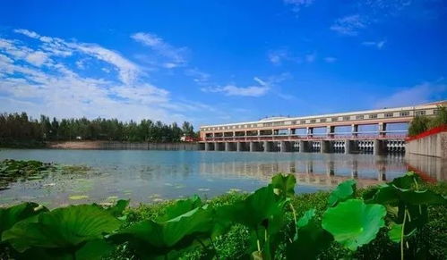 出发前的胡思乱想