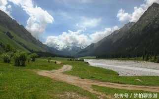 春日旅行：一场探寻春天奇迹的旅程