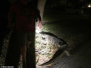 五龙口的诡异经历