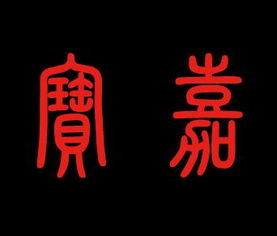 刘姓兔宝宝取名带嘉字，双胞胎名字如何取？