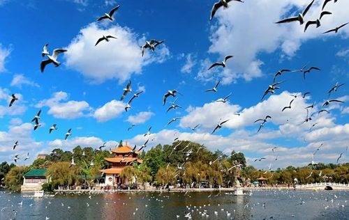 昆明的诱惑:四季如春的气候