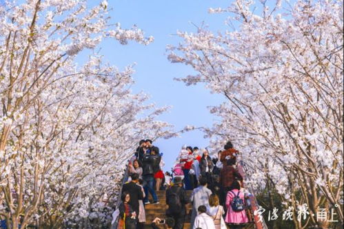 南京博物院，穿越时空的错觉