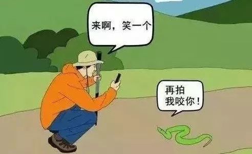 上楼梯遇蛇化解吉凶，家进小蛇是吉兆吗？这预示着什么好运？