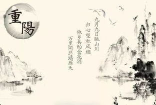 沉阳节之夜的诡异风水局与生肖大劫