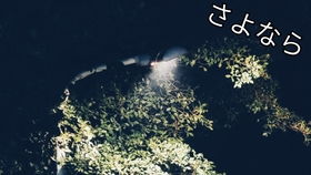 风水煞气：午夜钟声的另一种解读