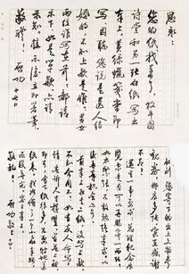 启功那个地方的老头儿怎么回事？