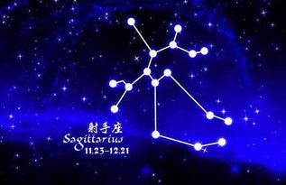 射手座：假养生专家