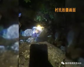 七人潭的阴阳交错——从八卦到十二生肖的诡异连结