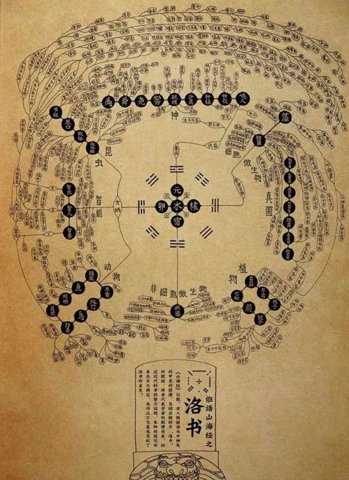 沉默的影子： 河图与洛书