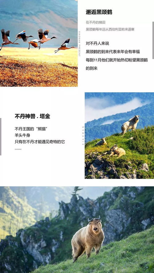 从欧洲到亚洲：跨文化双倍体验实验室