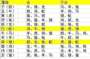 1. 天干地支的戏剧性碰撞