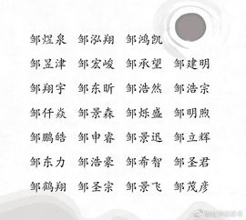 邹姓男孩的名字推荐