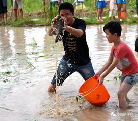 摸鱼必备神器：不带这些就等着喂鱼吧