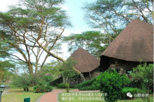 第三步：如guo你非要去小铺广场怎么办？