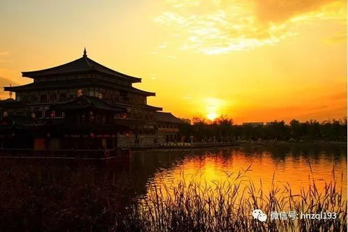 4.2 市内交通的无奈