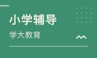 寻找星辰指引的先知