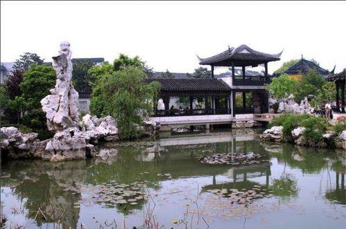 拙政园的奇观：百年古树与苏州文化底蕴博览园