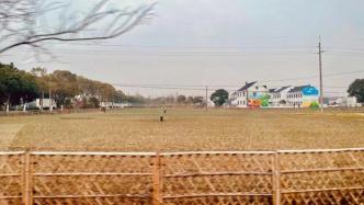 游玩攻略：走进南桥镇， 体验文雅与天然之美