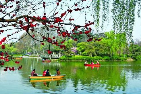 二、 红梅公园：古典与现代的交融