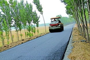 道路亮点大杂烩——从“坑爹”到“惊艳”全程直播