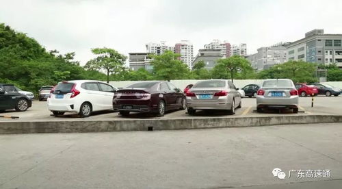 选择公共交通