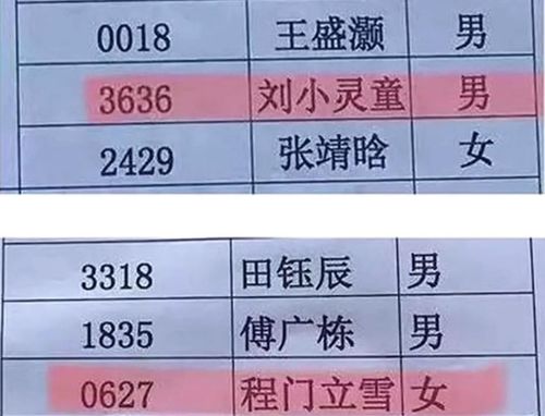 男孩英文名的国学风水解读：简洁简单记背后的命理奥秘