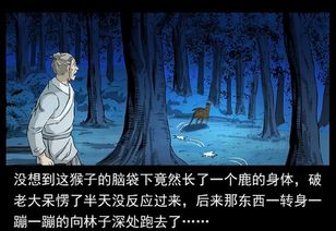 国学视角下的“鬼影”解析