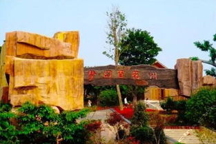 松湖生态园：别看它叫生态园，其实是个较大花海！