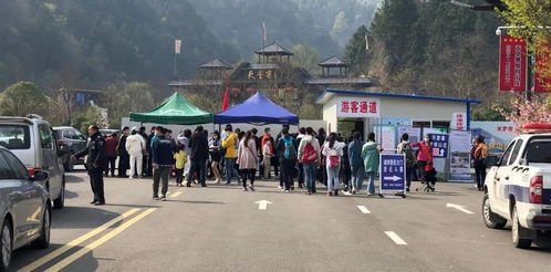 本地人福利多到爆炸